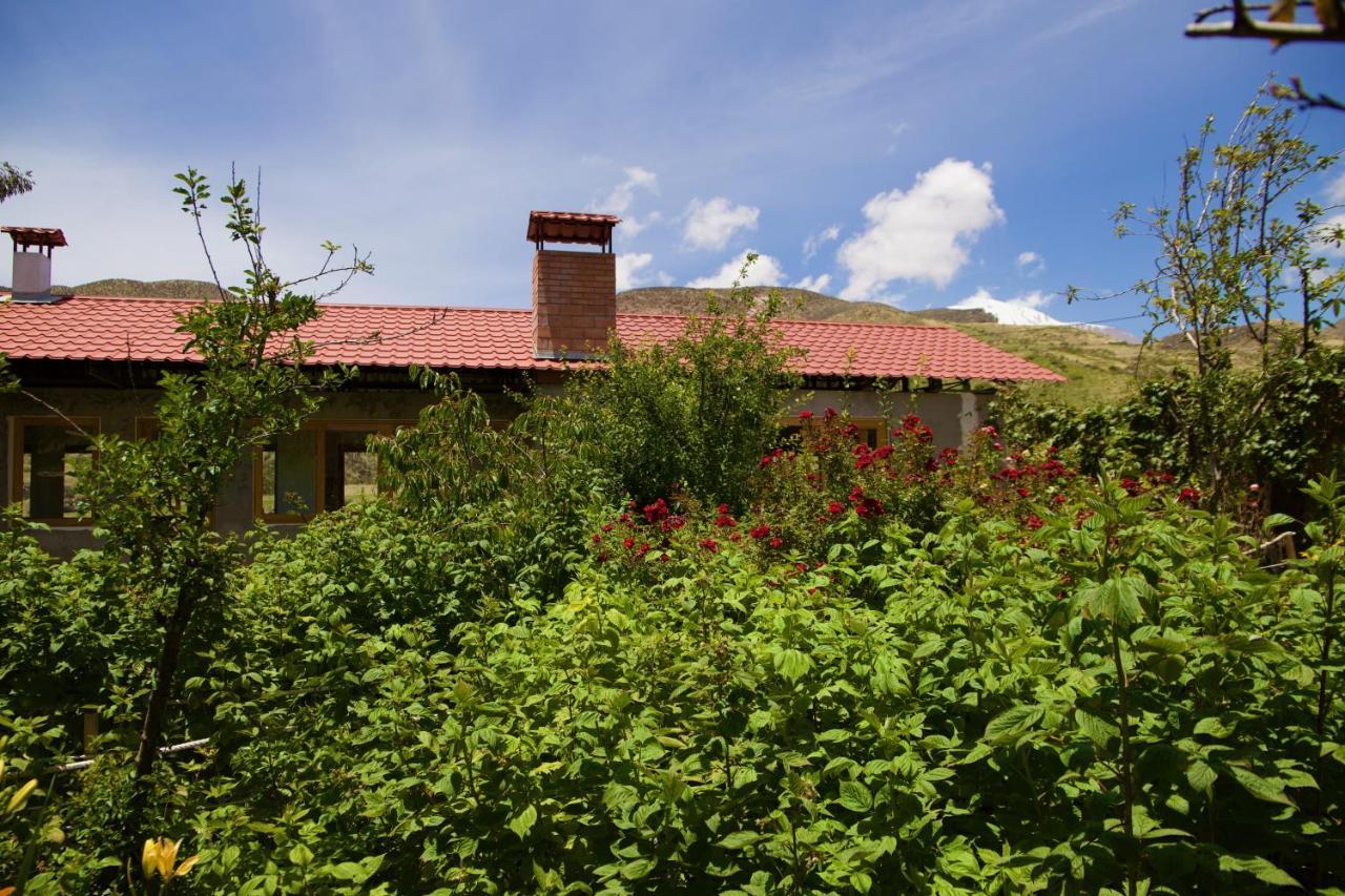 Hostal Vientos Del Altiplano Putre Extérieur photo