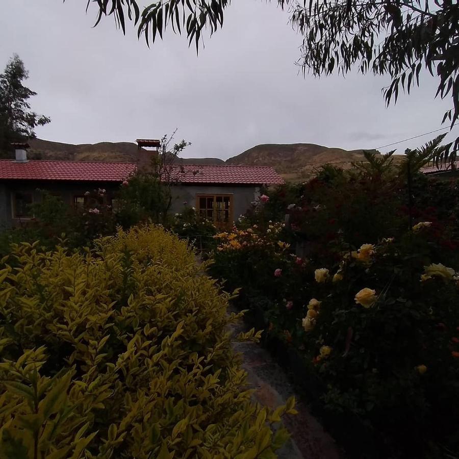 Hostal Vientos Del Altiplano Putre Extérieur photo